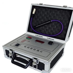 DWY-2型电稳定性测试仪